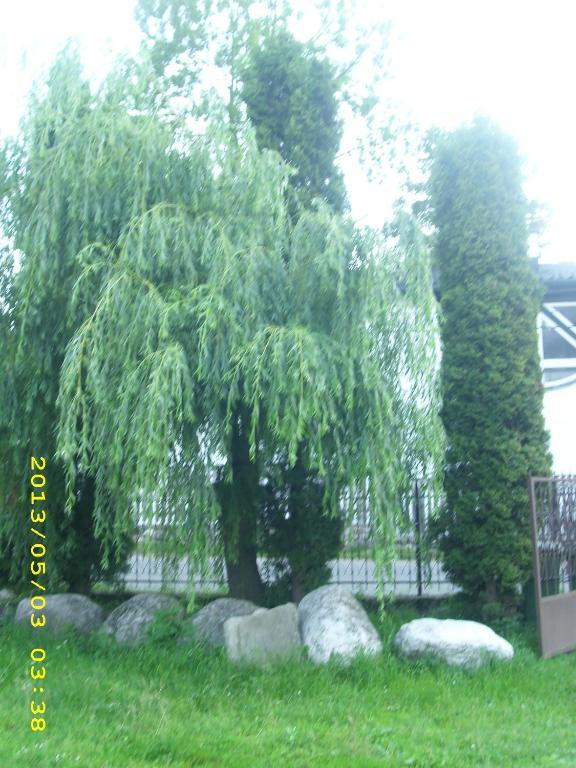 Pensiunea Belvedere Bran  Rom bilde